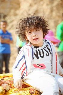 娱乐吃瓜酱4090,4090背后的故事与影响