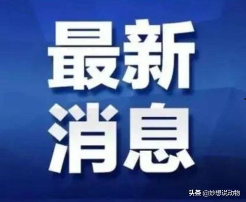 广西热视爆料最新消息今天,最新事件追踪，揭秘背后真相！”
